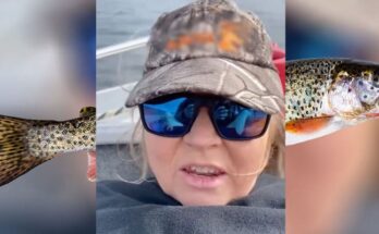 Latest News One Girl One Trout Video